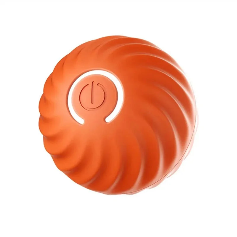 Smart Puppy Fun Bounce Ball