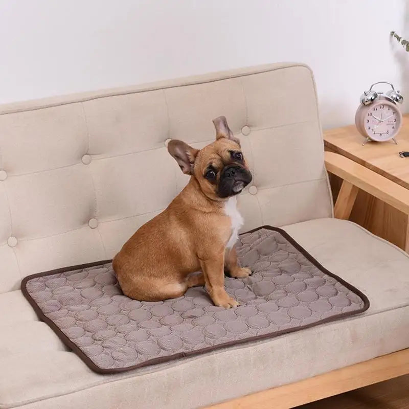 Puppystar Cooling Pet Mat