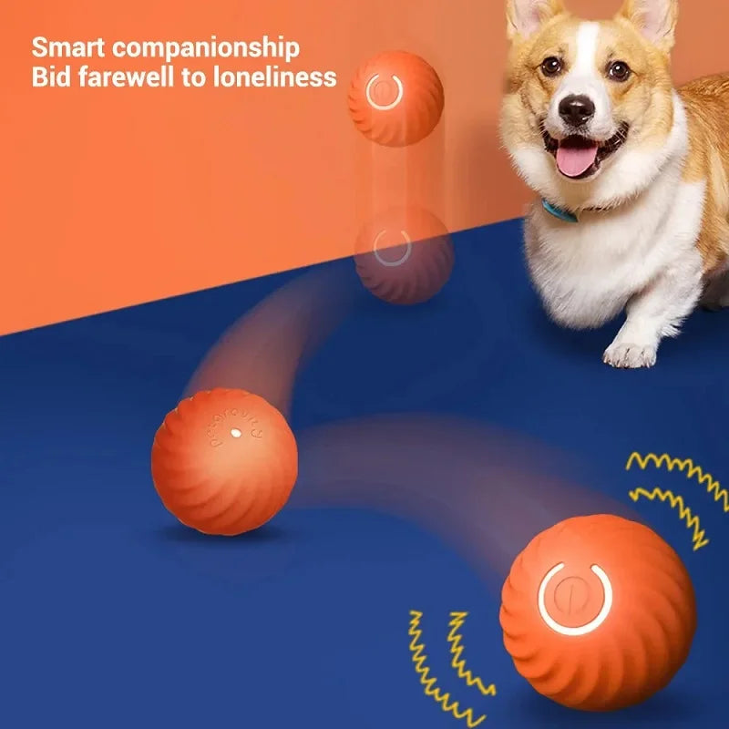 Smart Puppy Fun Bounce Ball
