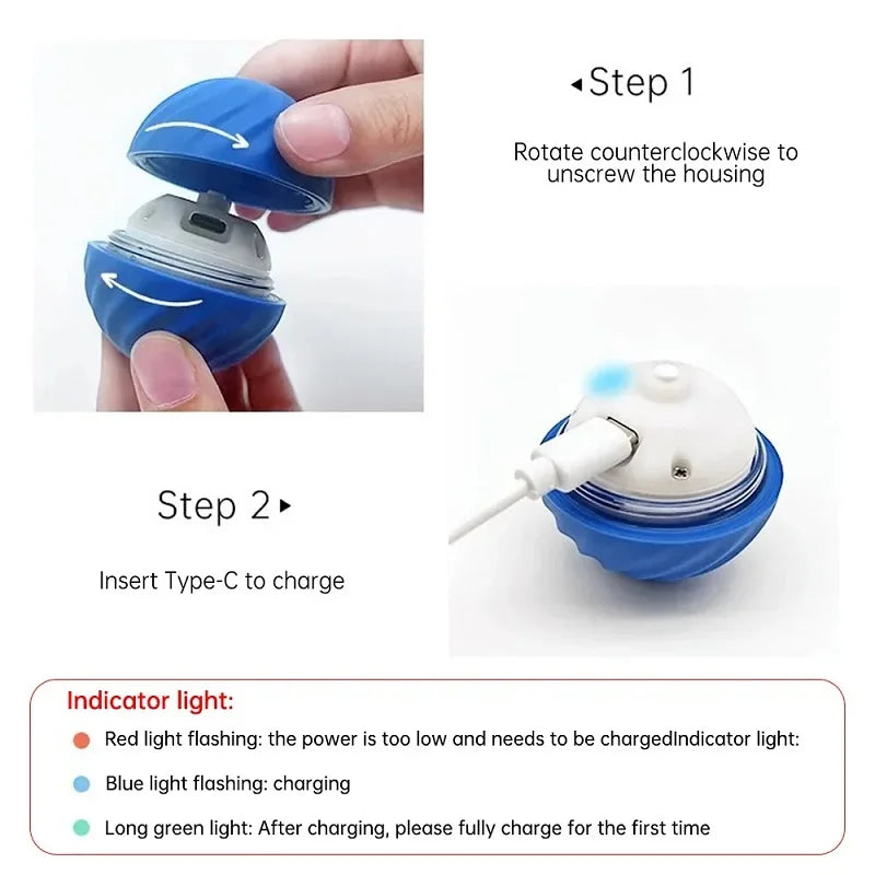 Smart Puppy Fun Bounce Ball