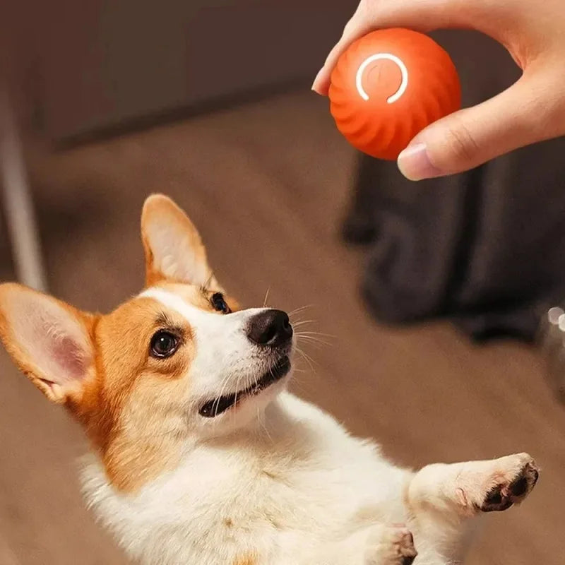 Smart Puppy Fun Bounce Ball