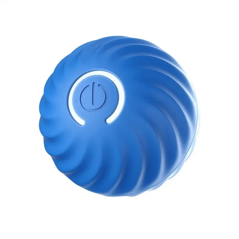 Smart Puppy Fun Bounce Ball