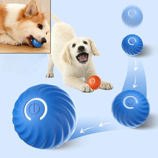 Smart Puppy Fun Bounce Ball